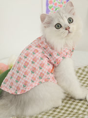 O1CN01j27kkV24NdWYnlF8e_!!0-item_pic